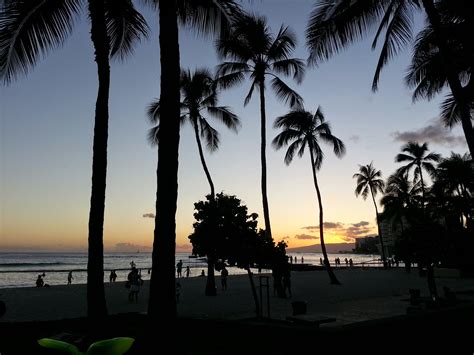 Free Images Sunset Hawaii Honolulu Vacation Blue Skies Tropical