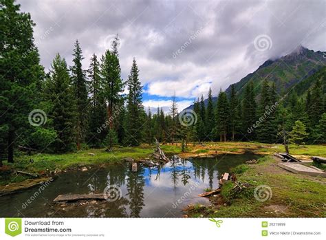 Therapeutic Mud On Shumak In Cloudy Weather Stock Image Image Of View