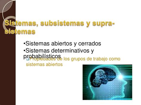 Sistemas Subsistemas Y Suprasistemasxx