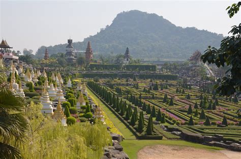 Nong Nooch Free Stock Photo Public Domain Pictures
