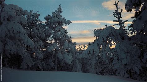 Snowy Mountain Landscape Del Colaborador De Stocksy Marko Stocksy