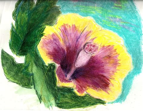 Hibiscus Drawing By Linda Corbett Fine Art America