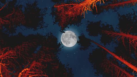 Moon With Campfire In Forest Wallpapers Hd Wallpapers Id 26135