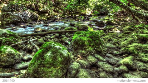4k Moss Covered Boulders Hdr Time Lapse Shot Mot Stock Video Footage