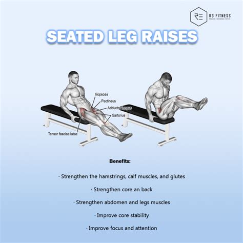 5 Benefits Of Seated Leg Raises R3 Fitness