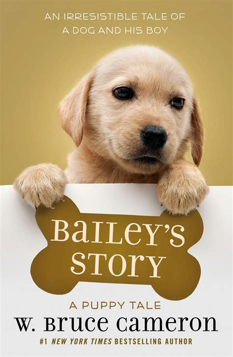 Baileys Story