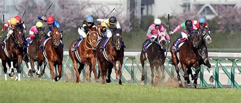 高松宮記念（2020）中京競馬場 芝1200m 予想 穴党 たよりさん