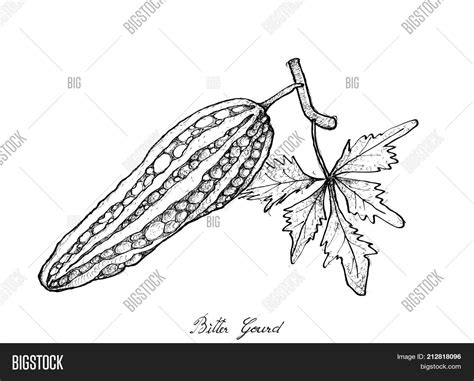 And dont forget to hunt for the seven dwarves or gnomes. Hand Drawn Sketch Vector & Photo (Free Trial) | Bigstock