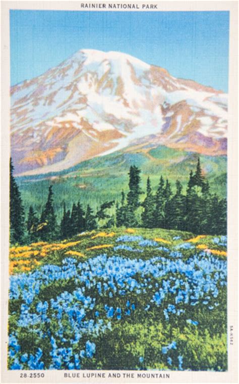 17 Gorgeous Vintage Postcards From Mount Rainier National Park
