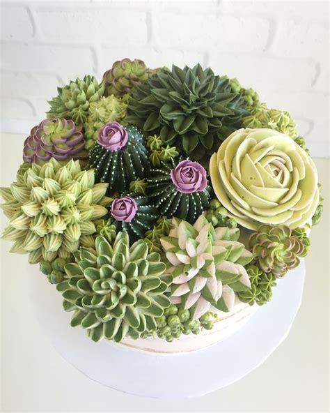 Buttercream Succulents Decorate Edible Planters By Leslie Vigil — Colossal Succulent Cake