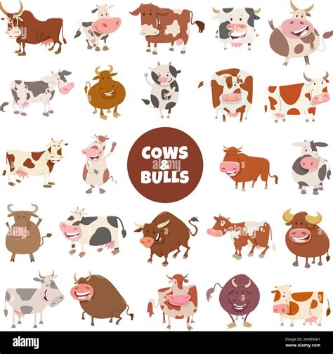 Cartoon Illustration Of Funny Cows And Bulls Farm Animal Characters Big