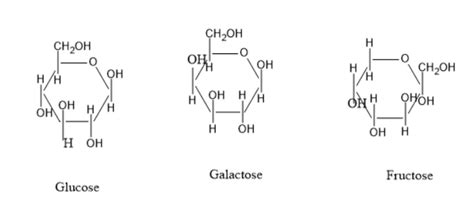 What Are The Isomers In Relation To Glucose Galactose And Fructose