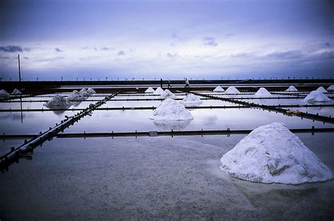 Sea Salt Farm Flickr Photo Sharing