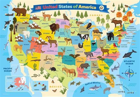 Illustrated Map Of The United States Of America 100 Piece Jigsaw Puzzle
