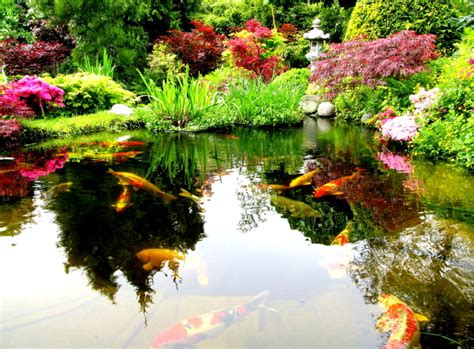 We did not find results for: Wasserverlust im Gartenteich: Mögliche Ursachen ...
