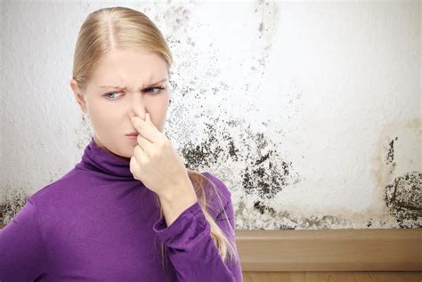 How To Get Rid Of That Musty Smell Direct Ac