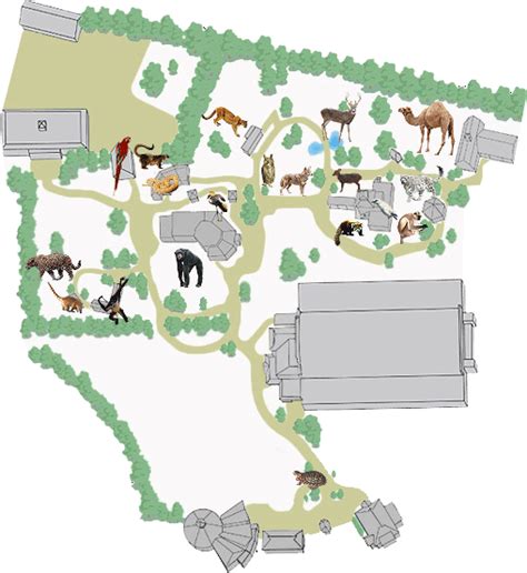 The Map Of Chattanooga Zoo In Chattanooga Usa
