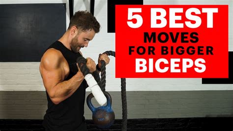 Bicep Exercises Without Weights Blog Dandk