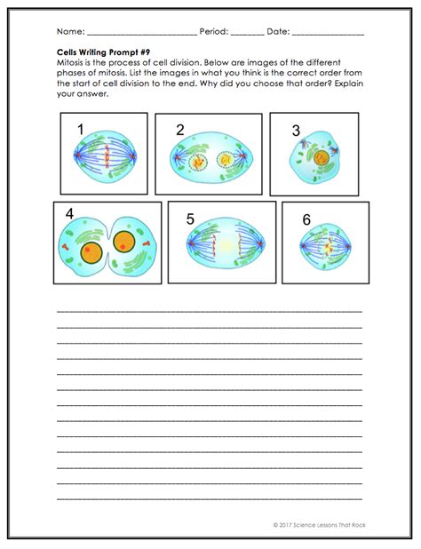 Mitosis Worksheet And Diagram Identification Answers
