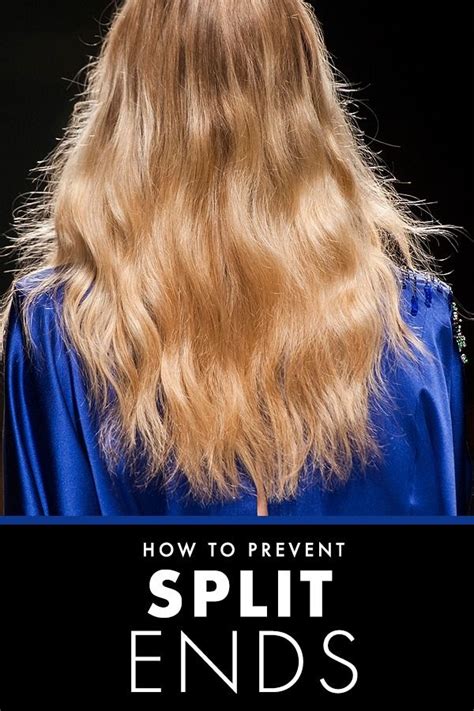 Split ends no longer have a smooth cuticle covering them, so they naturally catch and snag on each other and on healthy ends. 4 Tricks To Prevent Split Ends | Hair styles, Long hair ...
