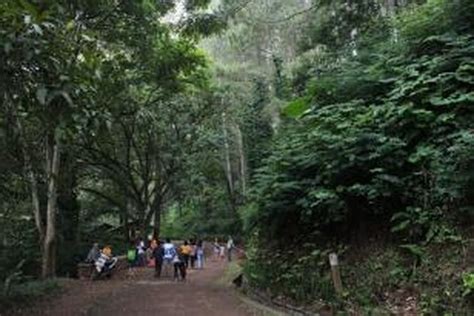 Grantnsaipan Taman Hutan Raya Juanda Prewedding