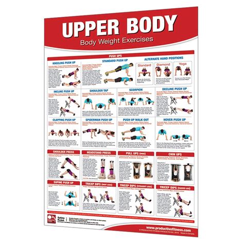Iron Company Productive Fitness Laminated Fitness Poster Body Weight Exercises Set Of 3