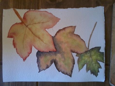 Autumnal Leaves Practice Piece From Beginners Watercolour Workshop