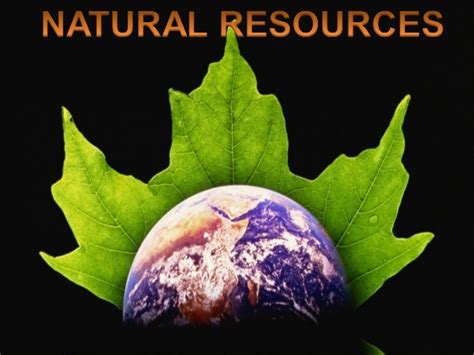 Natural Resources Final Ppt