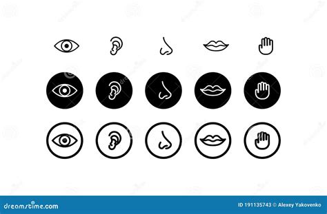 Five Human Senses Hearing Smell Sight Taste And Touch Vector On