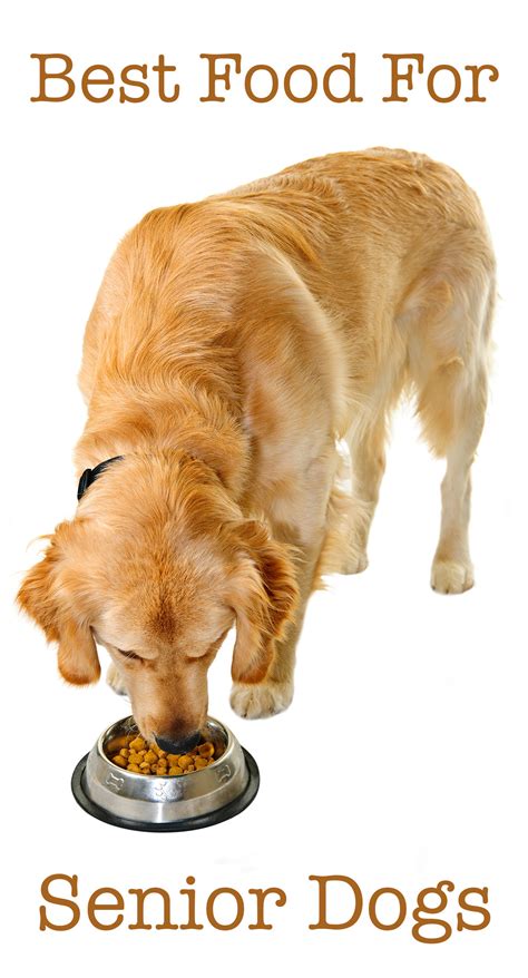 However, eukanuba dry food for seniors is our favorite. The Best Senior Dog Food - The Right Wet And Dry Options
