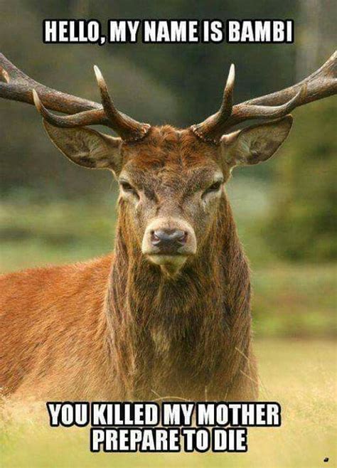 Funny Bambi Princess Bride Joke Saying Deer Picture Lustige Hirsche