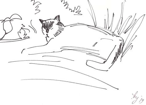 23 Cat Drawing Laying Down Aleya Wallpaper