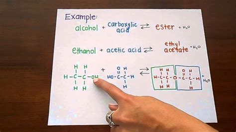 In the west, the analysis of word form began in classical greece and passed in due course to rome. Ester Formation - YouTube