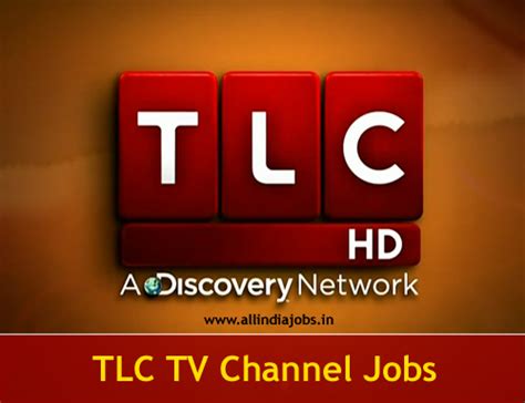 We did not find results for: TLC TV Jobs 2017-2018 | TLC TV Careers | Freshers jobs ...