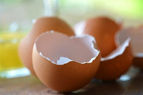 8 Usos Para Las Cáscaras De Huevo