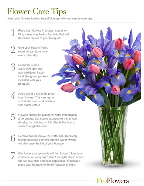 7 Tips For Making Cut Flowers Last Longer Artofit