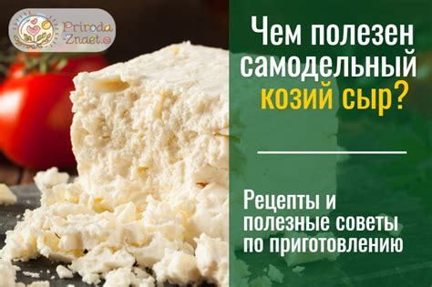 Сыр из козьего молока рецепты приготовления