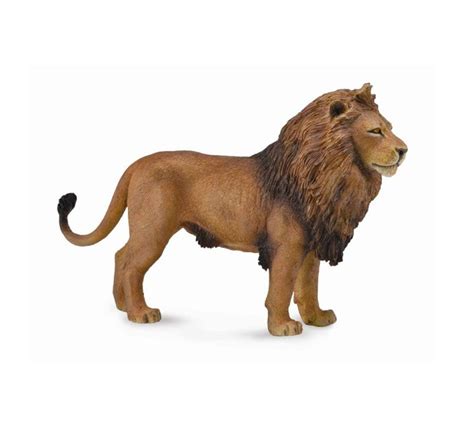 Collecta African Lion Toy Figurine 4892900887821