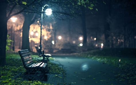 Awesome Park Bench Wallpaper 2560x1600 33142