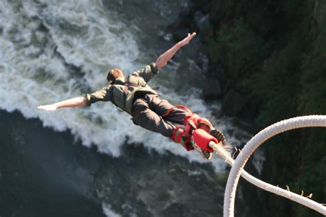 5 Amazing Bungee Jumping Destinations In The World! - BMS | Bachelor of ...
