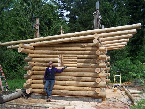 Diy Cabins Diy Log Cabin Cheap Cabins How To Build A Log Cabin Log