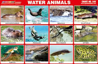 Spectrum Educational Charts: Chart 548 - Water Animals