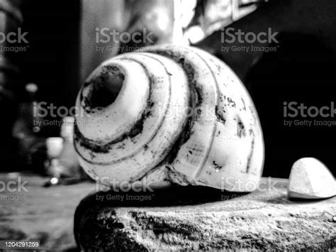 Old Memories Black And White Stock Photo Download Image Now Antique