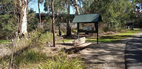 Dandenong Creek Trail Dandenong Creek Trail Bayswater Vic 3153 Australia