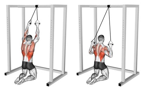 7 Best Lat Pulldown Variations (with Pictures!) - Inspire US