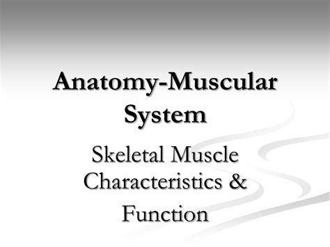 Ppt Anatomy Muscular System Powerpoint Presentation Free Download