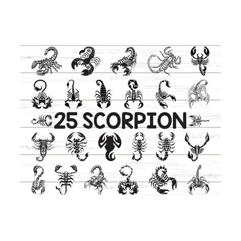 Scorpion SVG Scorpion Clipart Cut Files Cricut Silhouett Inspire