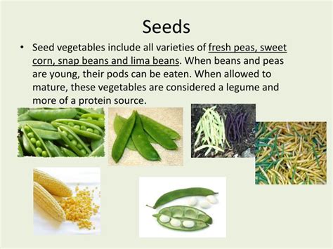 Ppt Vegetables Categories And Classification Powerpoint Presentation