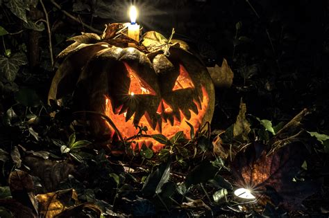Jack o lantern stock photos. Jack-O-Lantern the Leaves 4k Ultra Fond d'écran HD | Arrière-Plan | 4592x3056 | ID:738155 ...
