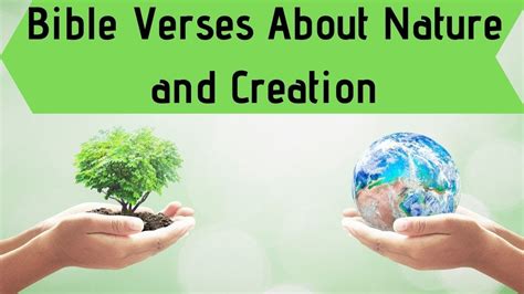 Bible Verses About Nature And Creation Youtube
